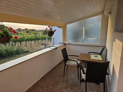 Apartment in Nin with Terrace, Air conditioning, Wi-Fi (3722-2)