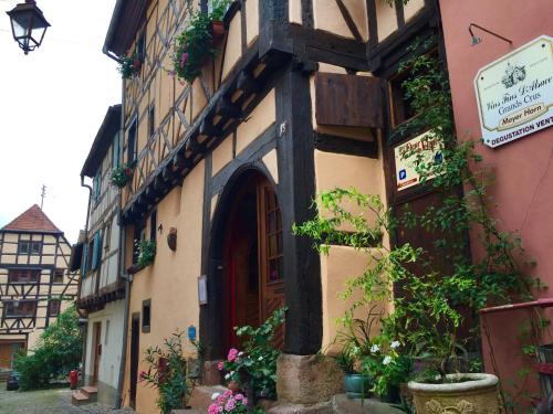 Apartment in Riquewihr near Vineyards