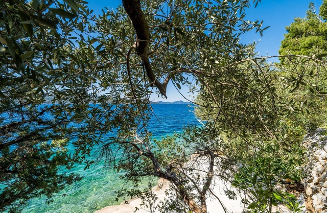 Apartment Kia - One Bedroom Apartment with Terrace and Sea View