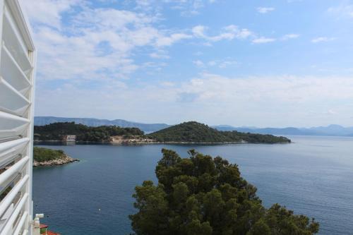 Apartment Marija Mljet 4