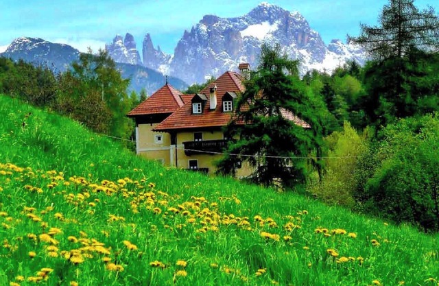 Apartment Nandl with free South Tyrol Mobil Card | Waldegg Renon