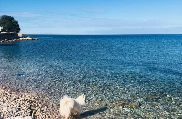 Apartamento Nata - Umag, Istria, Croacia