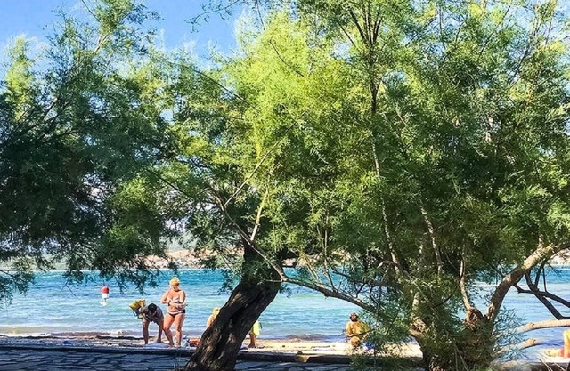 Apartment Niko - 40m from the beach: A3(4+2) - Donji Karin, Zadar riviera, Croatia