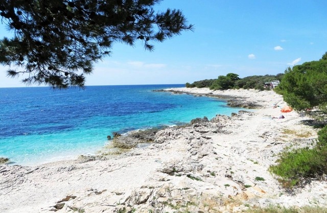 Apartment Oasis SA1 (2 + 2) - Veli Rat, Isla Dugi otok, Croacia