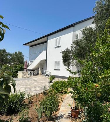 Apartment Oblak