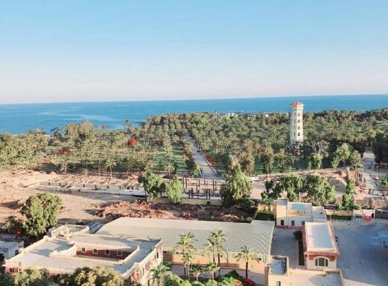 (Apartment on the sea in Alexander (Montazah district