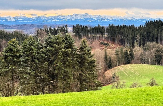Apartment 'Panoramablick Taisersdorf' with Mountain View, Balcony and Wi-Fi