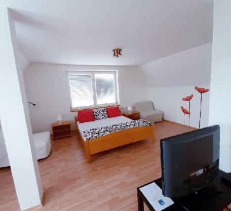 Apartment Patera