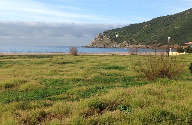 Ground floor apartment 50m from the beach.
