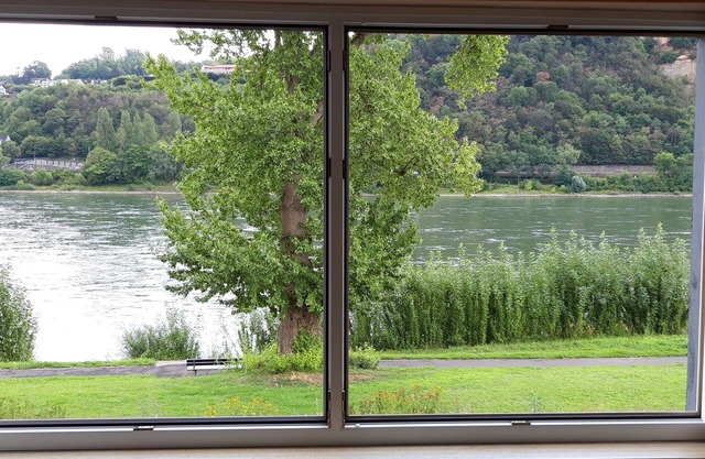 Apartamento 'Rheinblick Wohnung 3' con terraza compartida y Wi-Fi