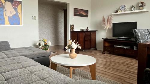 Apartment Safarikova