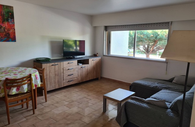 Apartment Saint Cyprien beach 100m from the sea