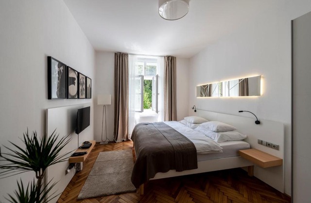 Apartment Slavikova 11