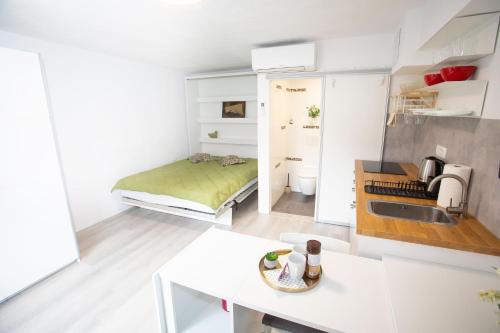 Apartment Studio Green