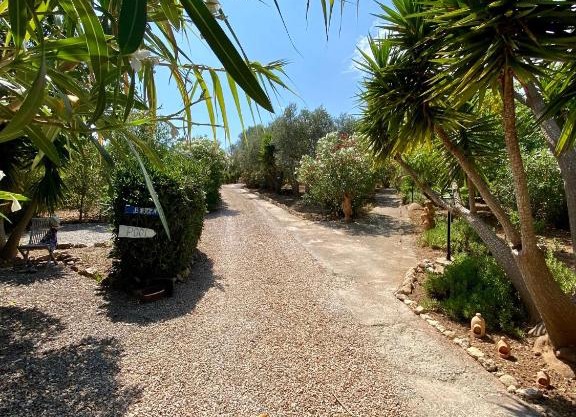 Apartment Tejado in Manacor Mallorca - Adults Only
