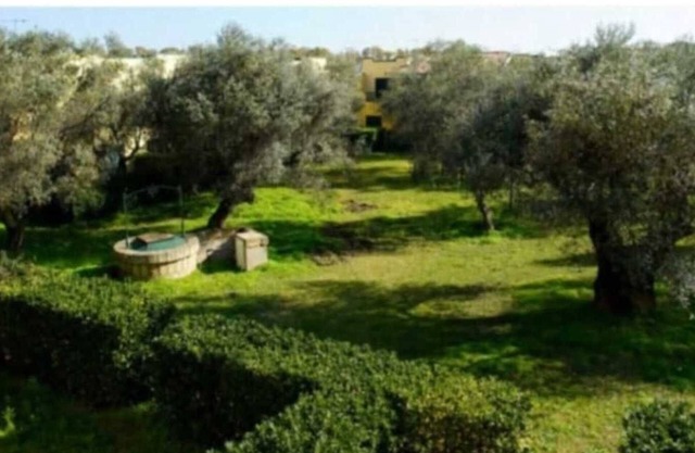 Apartamento 'Tra Ulivi E Mare' con Jardín Compartido, Wi-Fi y Aire Acondicionado