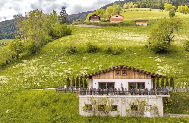 Apartamento 'Tratterhof Apt Eidechsspitze' con vistas a la montaña, terraza privada y Wi-Fi