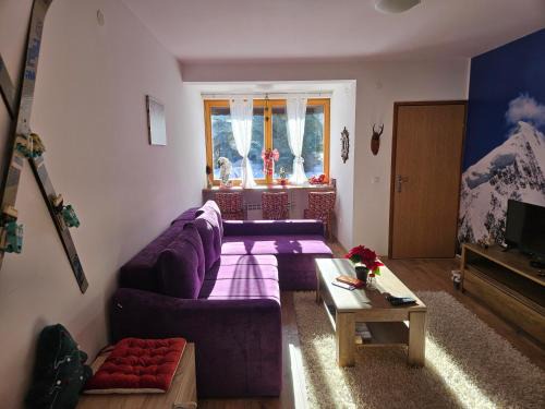 Apartment Violet Jahorina
