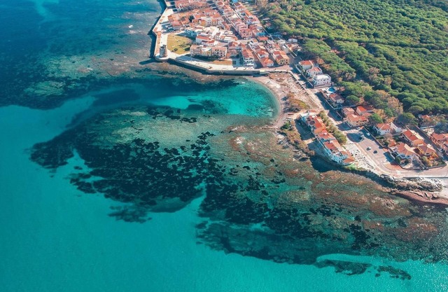 Apartment with veranda and garden 20 meters from the sea