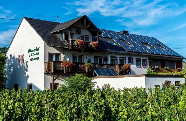 Apartment with a view of the Moselle - about 20 minutes. away from Trier