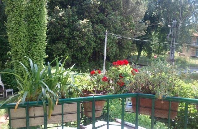 Apartamento con jardín en frente del bosque de pinos a sólo unos pasos del mar