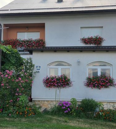 Apartments Žegarac House