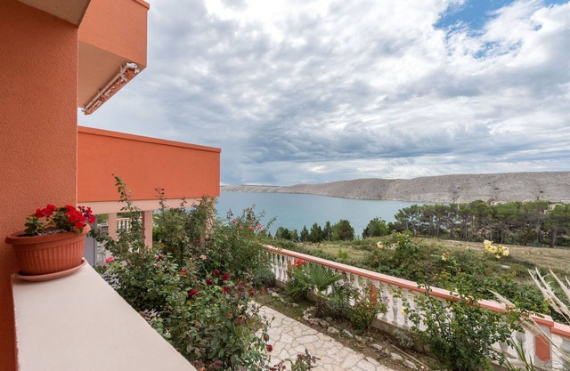 Apartamentos Anđelo (23932-A3) - Vlasici - isla de Pag.