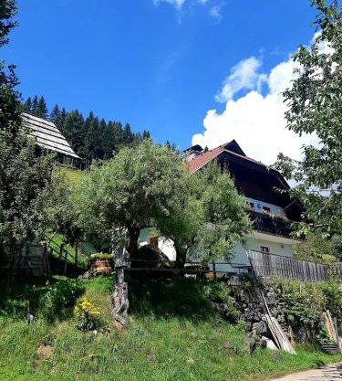Apartments Berghof Familie Steinwender
