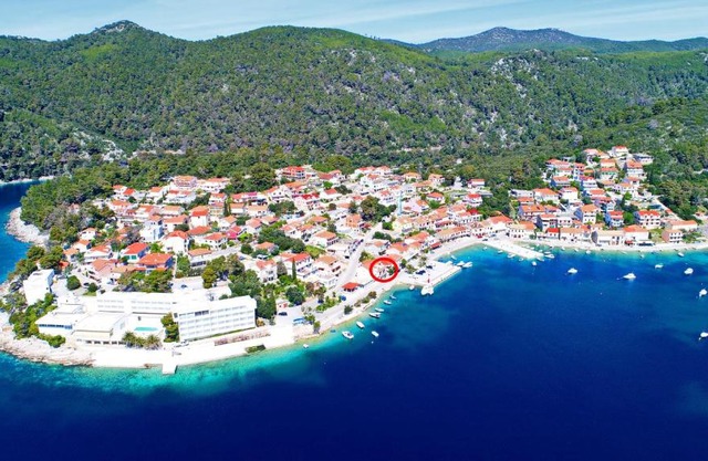 Apartments by the sea Brna, Korcula - 4463