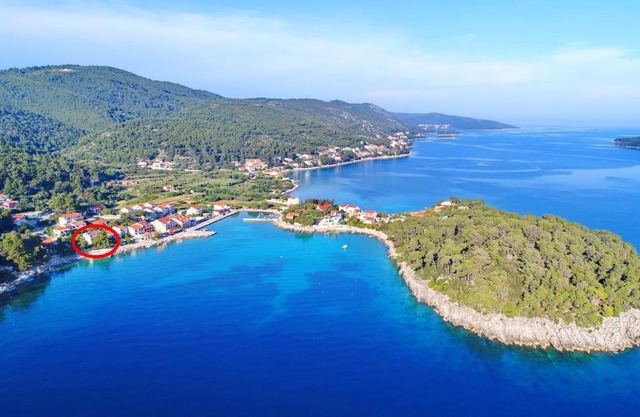 Apartments by the sea Prizba, Korcula - 4484