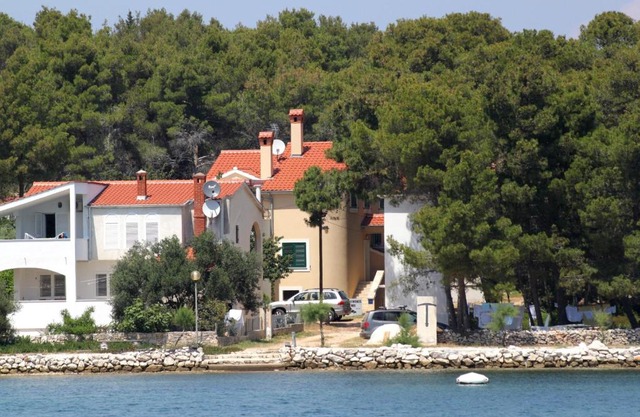 Apartments by the sea Verunic, Dugi otok - 8103