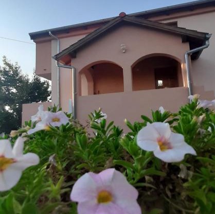 Apartments Cherry