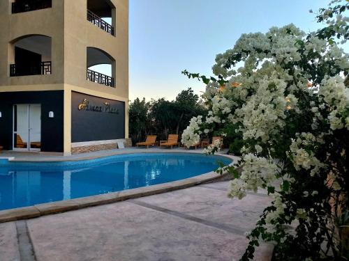Apartments in Almaz Plaza