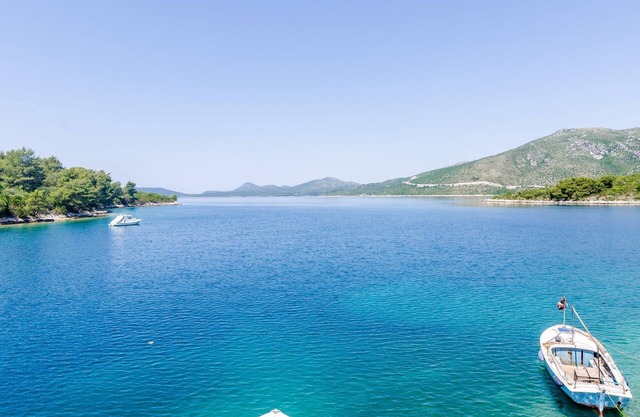 Apartments Melany - Studio Apartment with Shared Terrace and Sea View