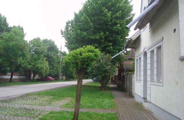 Apartments-Mini-Hotel