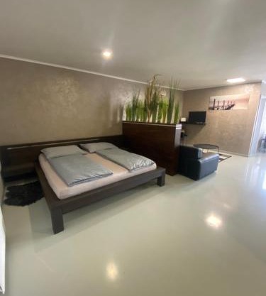 Apartments renesance 1