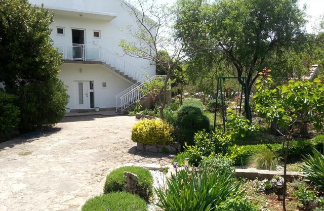 Apartments Vlade