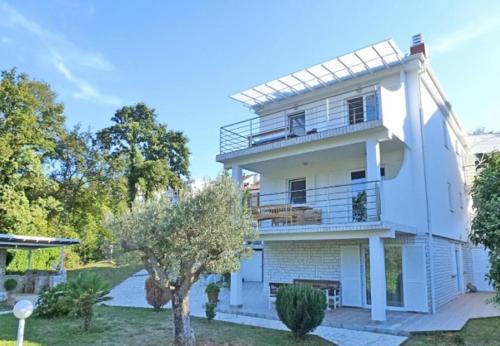 Apartments Vlado