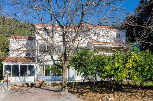 Apartments with parking space Zuljana, Peljesac - 4574