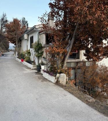 Apartments Zorica