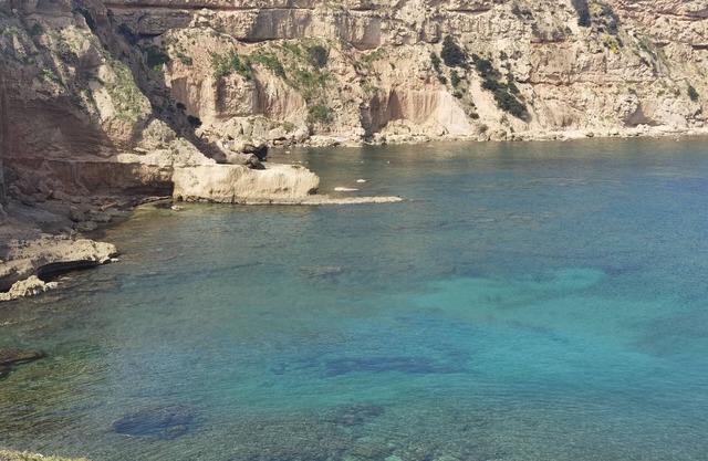 Appartamento 5 passi dal mare 8(ammessi gli animali)