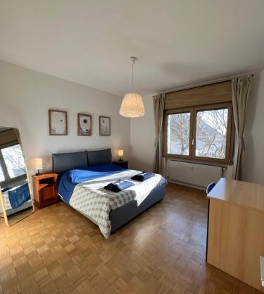 Appartamento Centro Conegliano Eleganza e Comfort