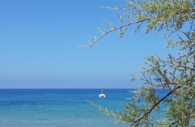 Appartamento con bellissima vista mare ( IUN P5019 )