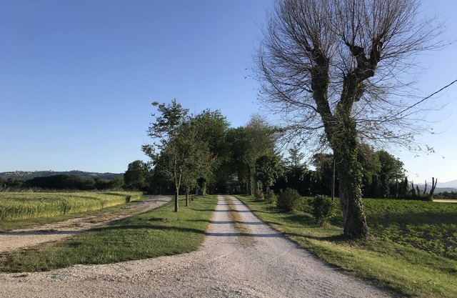 Appartamento Fichi Immerso nel Verde Delle Colline Marchigiane