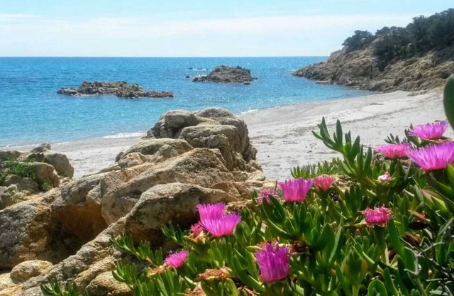 AMPIO GIARDINO ATTREZZATO- ACCESSO DIRETTO ALLA SPIAGGIA DI MARZELLINU