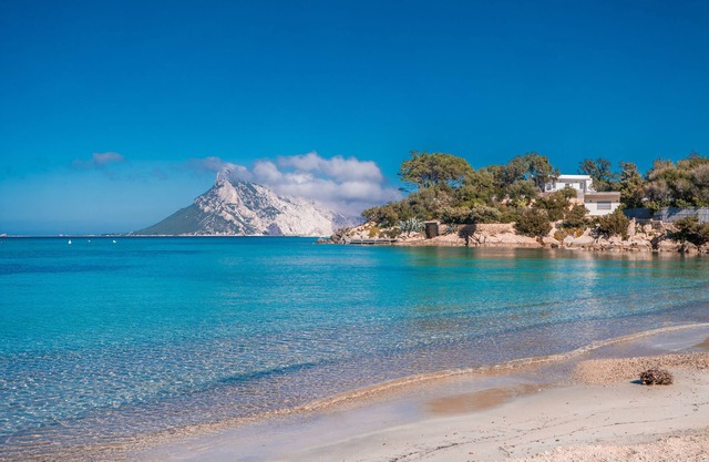 Appartamento Levante With Shared Pool