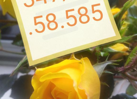 Appartamento Volte a Stella