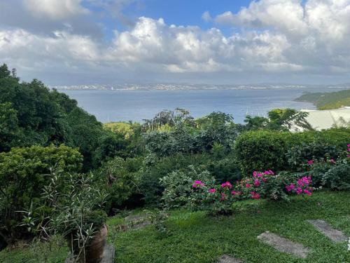 Appartement vue paradisiaque