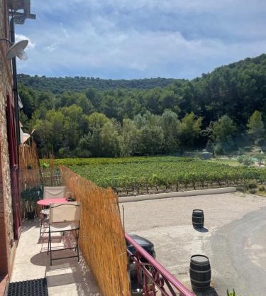 Appartement 1 chambre au milieu du vignoble de Gigondas