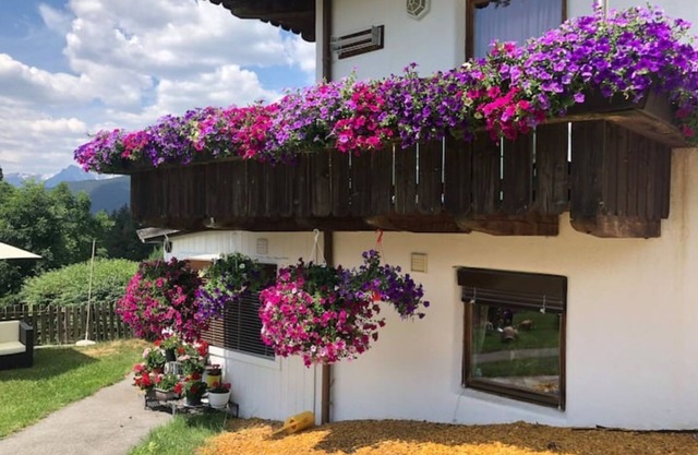 Appartement 110 bis 5 Personen Pool